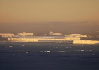 Christian geologist says discovery of ancient tree stumps in Antarctica confirms Biblical flood account