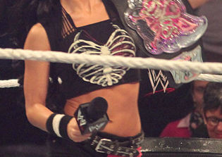CM Punk and AJ Lee WWE 2014 News: Lee's WWE Career in Danger?