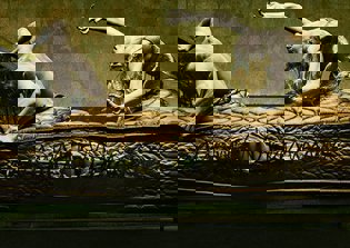 'American Horror Story' Season 6 news: Matt Bomer set to return; Title, theme still undecided