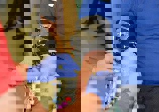 Church of England urges Christians to donate blood, organs