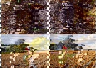 'Red Dead Redemption 2' release date rumors: Game to land at E3 event 2016?