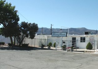 Former Christian convent schoolgirl offers virginity to highest bidder after heartbreak