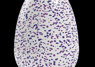 Hatchimals sold out news, Christmas restocking update: Walmart and Target to restock their stores with Hatchimals