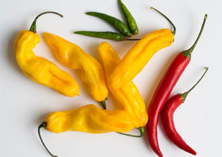 Cancer cure news update: T-cell treatment, chillies proved to help cure cancer