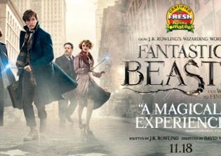 'Fantastic Beasts 2' release date, news: Leta Lestrange to have an expanded role in the sequel