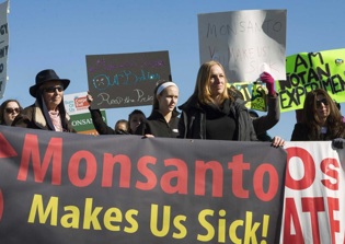 Herbicide Used on Crops to Kill Weeds 'Probably Carcinogenic to Humans' – Reports W.H.O.