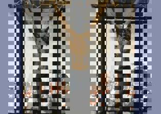 'The Passion of Christ: A Gay Vision' ads rejected by Facebook, art book offends depicting Jesus as a homosexual