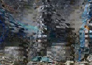 'Avatar' 2 News: Sequels Will Amaze Audiences, James Cameron Predicts