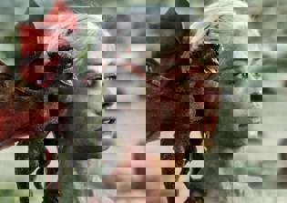 'Game of Thrones' Season 5 Spoilers, Plot News: Big Dragon Action Awaits Fans, Says Emilia Clarke