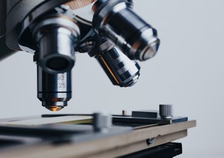 2 California companies close down over involvement in fetal tissue trafficking