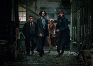 'Fantastic Beasts 2' plot rumors, latest news: Plot of 'Fantastic Beasts' sequel accidentally leaked on IMDB?