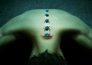 'American Horror Story' season 6 release date news, spoilers & teasers: Which is the real 'AHS' trailer?