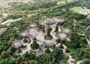 Local help and guidance in secretarial services is essential to set up business on foreign soil