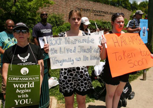 Franklin Graham criticizes double standards over outrage at gorilla Harambe's killing while 125,000 babies are aborted daily