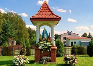 'Virgin Mary' appears on tree? Image draws crowds in Chicago neighborhood