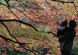 Christian mom launching Bible basics for babies & toddlers