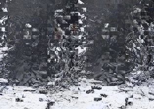 'Game of Thrones' season 7 news, spoilers: Liam Cunningham shares new update; latest production news hints Aryaâ€“Nymeria reunion