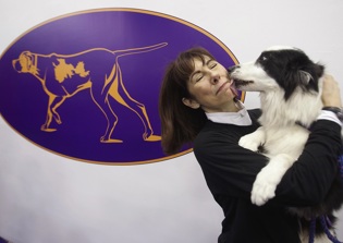 Dogs Able to Read People's Feelings, According to New Study