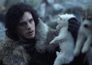 'Game of Thrones' Season 5 Spoilers:  Where are the Remaining Direwolves of the Starks?