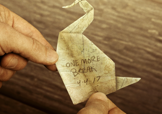 'Prison Break' season 5 spoilers: FOX releases trailer, announces release date