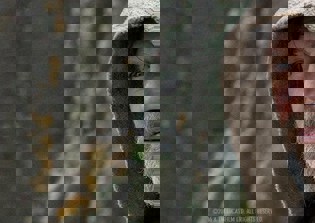 'Star Wars 8' plot news, release date update 2016: Movie to reveal Rey's parents