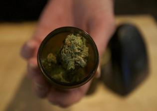 Epilepsy Seizures Reduced With Marijuana Extract, New Study Shows