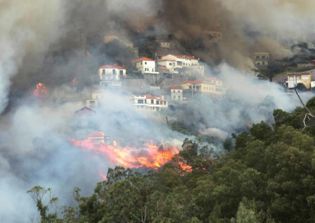 Pope Francis expressed solidarity with victims of Madeira wildfires in Portugal
