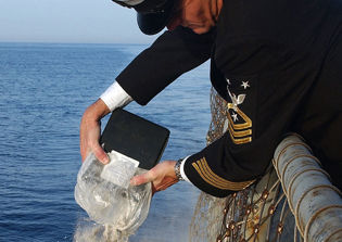 Catholic Church bans the scattering of cremated ashes