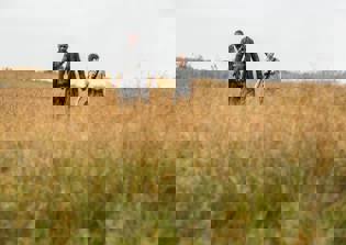 'The Dark Tower' premiere date, cast news, plot spoilers: Film adaptation of Stephen King's novel series to finally hit theaters in 2017