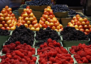 Michigan market bans Catholic farmer for objecting to same-sex marriage