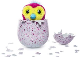 Hatchimals sold out: Where to get Hatchimals for Christmas 2016?