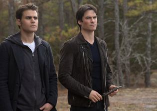'The Vampire Diaries' season 8 episode 15 spoilers, news: Stefan and Caroline's wedding ceremony set to lure Katherine out