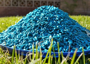 South African pastor makes congregants drink water laced with rat poison for 'healing'