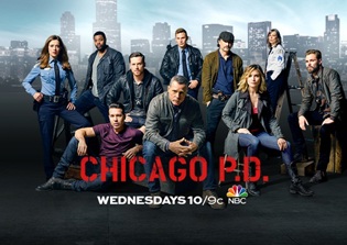 'Chicago P.D.' season 4 spoilers, plot news: Are Lindsay and Halstead starting a family? Jesse Lee Soffer teases couple's future