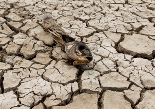 2014 Was World's Hottest Year On Record Even Without El Niño