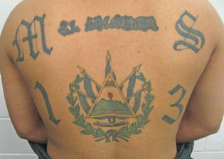 MS-13 gang members charged in Satanic killing of unidentified woman