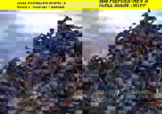 'Teen Wolf' season 6 spoilers news: EP teases return of some past cast members for show's final installment?