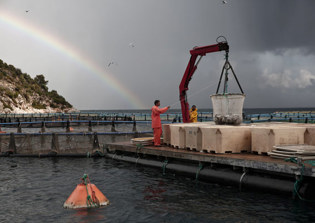 Indonesian Authorities Rescue 550 Fishermen Slaves From Island