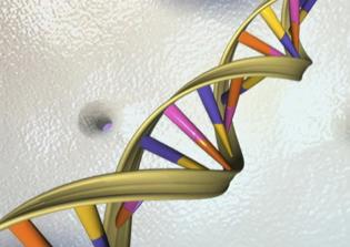 Genetically engineered babies to be made using DNA from 4 parents