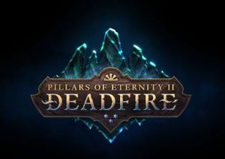 'Pillars of Eternity 2: Deadfire' release date, latest news: Sequel reaches crowdfunding goal in less than 24 hours